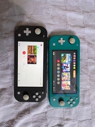 ニンテンドーSwitchライト　※本人確認中　返信遅れます