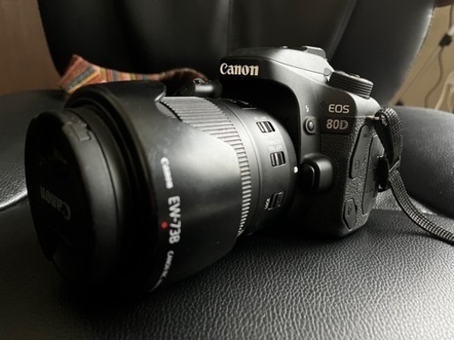 Canon EOS 80D 