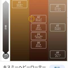 眉マスカラ ヘビーローテーション 02 オレンジブラウン 未使用 アイブロウ 眉カラーの画像