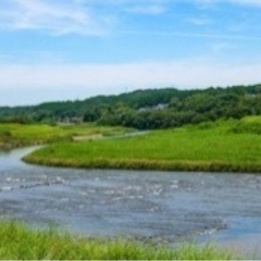 環境保全型農業（自然栽培米）に取り組みたい方募集中 - 合志市
