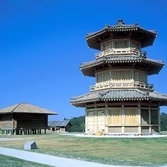 環境保全型農業（自然栽培米）に取り組みたい方募集中 - その他