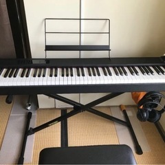 KORG D1