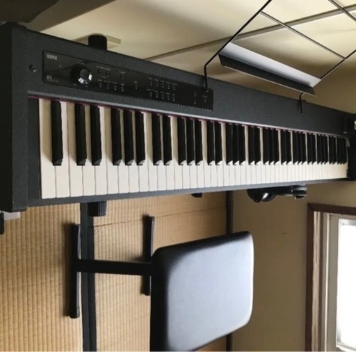 KORG D1