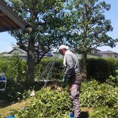 造園業・庭師募集　お庭をキレイにするお仕事です