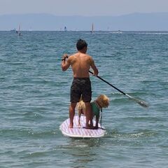 逗子～鎌倉あたりでSUPなど海遊びしませんか