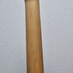 Pacifica 112Vの画像