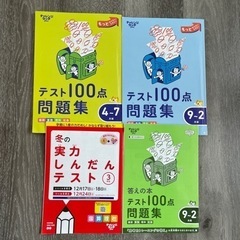 チャレンジタッチ3年生　テスト100点問題集の1年間分と冬の実力...