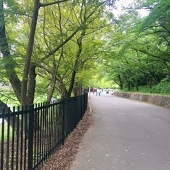 ランニング仲間募集♪20〜50歳 - 豊中市
