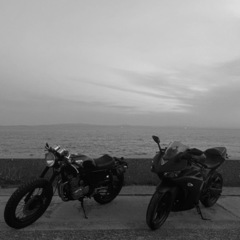 YAMAHA YZF-r25の画像