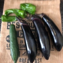 無農薬野菜セット