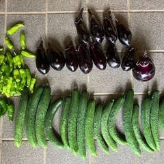 【格安】自家製野菜