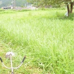 草刈り、伐採等を承ります。
