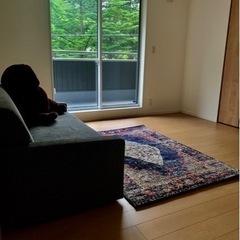 ソファベッド