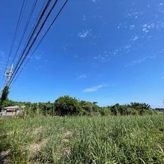 抜根　伐採　整地業者を探しております。