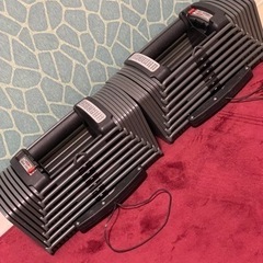 日曜日限定可変式ダンベル 5kg~26kg 2個セット
