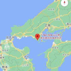 山口県田布施町の山林　409㎡　10万円