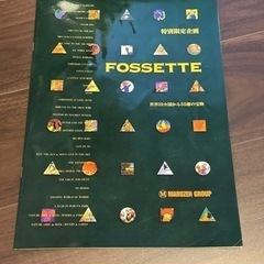 FOSSETTE19カ国から選び抜かれた絵本☆の画像