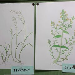 こぐま絵画教室