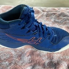 アシックス　ダンクショット　バッシュ　21.0cmの画像