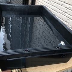 めだか飼育ケース　３０リットルの画像