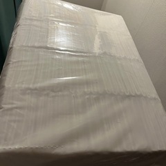 薄型ペットシーツレギュラー100枚