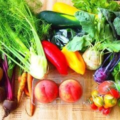 【9月末まで】17～21時までの固定シフト！サラダやお惣菜の販売...