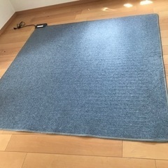 180✖️180 ホットカーペット