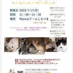しもつみゃ譲渡会7/17