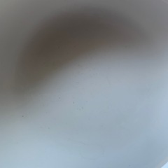 WEDGWOOD     皿の画像
