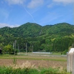 8月限定　カヤックインストラクターの画像