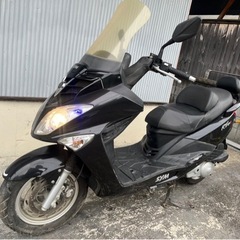 売れました！ 動画有り SYM RV125i 原付2種 125cc 2人乗りの画像