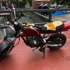 エイプ50 不動