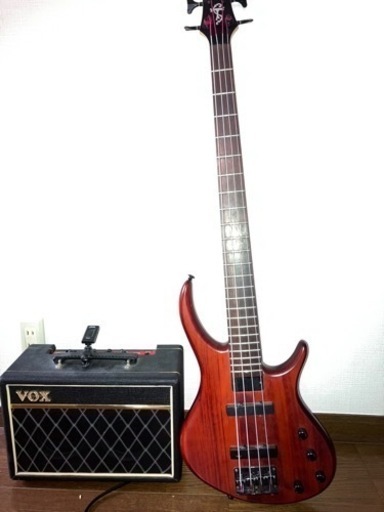 EPIPHONE トバイアスベース アンプ シールド チューナーセット