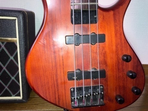 EPIPHONE トバイアスベース アンプ シールド チューナーセット