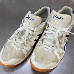 中学校　体育館シューズ　24cm