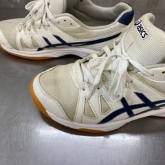 中学校　体育館シューズ　24cmの画像