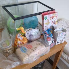 ハムスター飼育セット　お値下げ！