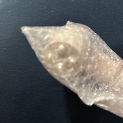 付録 美顔器の画像