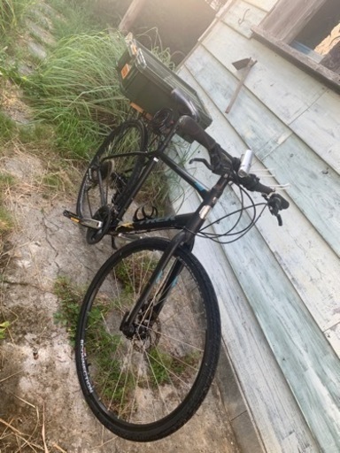 大人気スポーツバイクブランド　TREK !! 自転車売ります！