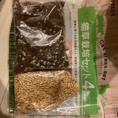 猫草