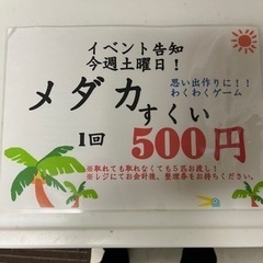 イオン銚子でメダカ掬い‼️