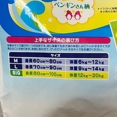 水遊び用スイミングパンツの画像