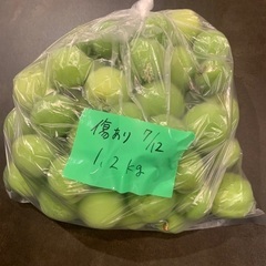 北海道産　青梅　1.2kgの画像