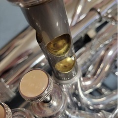 【決まりました】playtech PTHT-100SLの画像