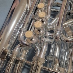 【決まりました】playtech PTHT-100SLの画像