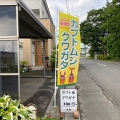 カブトムシ＆クワガタの24H無人販売所 - 奥州市