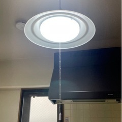 LEDペンダントライト2個セット