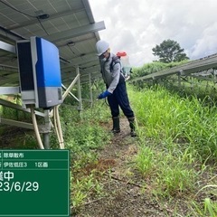 除草散布、草刈り作業の画像