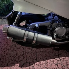 フォルツァの画像