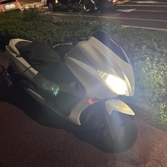 フォルツァの画像